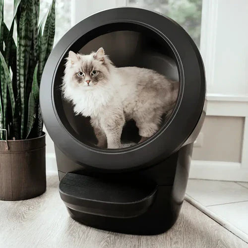 PurrMini™